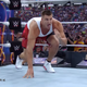 Illustration for article titled Now WWE wants Rob Gronkowski to squash all your favorite wrestlers